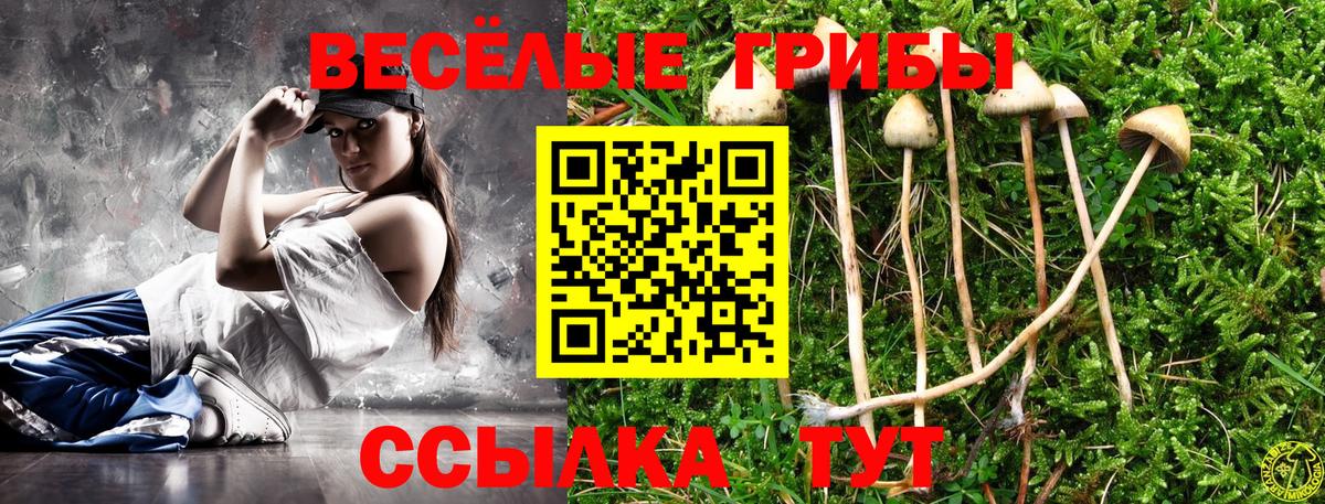 Псилоцибиновые грибы Psilocybine cubensis  Вход с VPN  Галлюциногенные грибы Psilocybine cubensis  Добрянка 